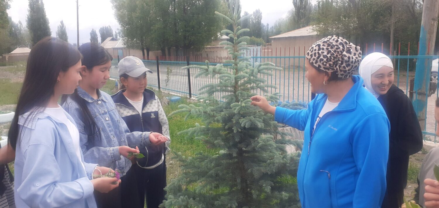 Жайкы лагер