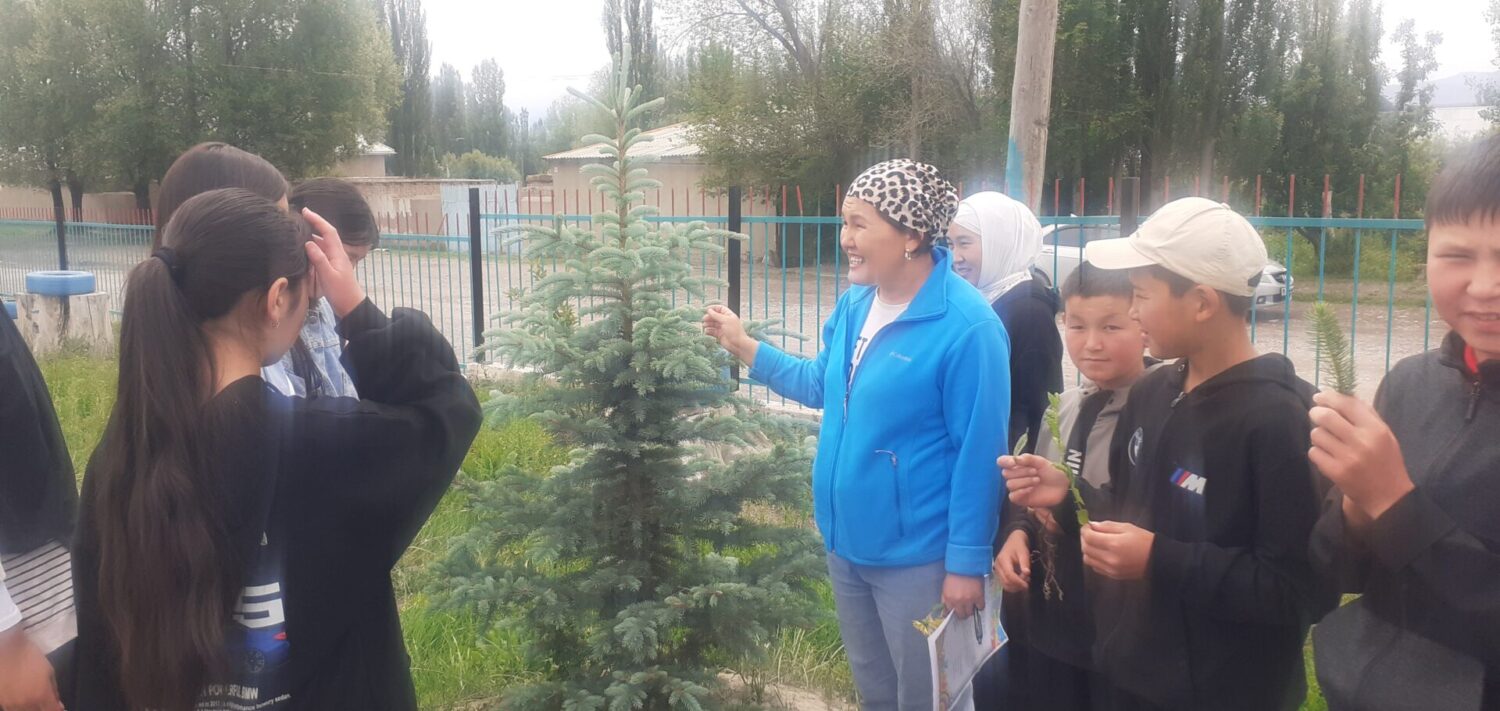 Жайкы лагер