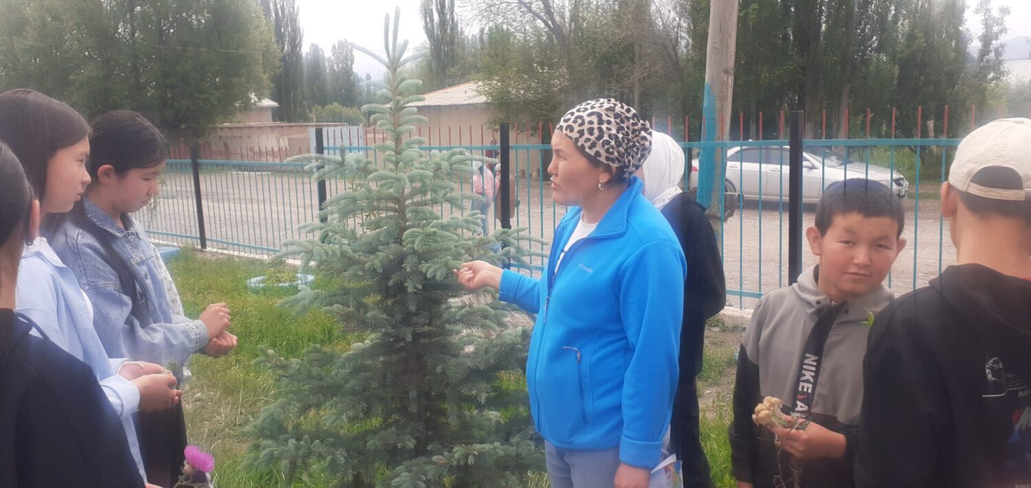 Жайкы лагер