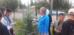 Жайкы лагер