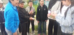 Жайкы лагер